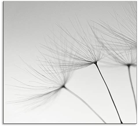 ARTland Spritzschutz Küchenrückwand aus Alu für Küche Herd Spüle 60x55 cm (BxH) mit Motiv Blume Pusteblume Landschaft Natur Zen Modern Hell Grau T5SQ