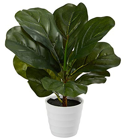 Nearly Natural 11in. Fiddle Leaf Artificial Plant in White Planter (Real Touch)