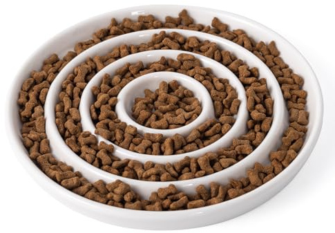 Gamelle anti-glouton pour chat - En céramique - Pour une alimentation lente - Gamelle pour animaux de compagnie - Gamelle humide pour chat et petit chien