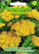 Schafgarbe Bronzegelb 'Achillea filipendulina' Trockenblume langlebige Staude