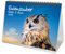 Eulenzauber Eulen und Uhus DIN A5 Tischkalender für 2025 - Geschenkset Inhalt: 1x Kalender, 1x Weihnachtskarte (insgesamt 2 Teile)
