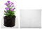M METERXITY 2-Pack 10 Gallon Plant Root Protector 20x18 Inch, Stainless Stainless Root Guard Baskets Wire Mesh Garden Protection Netting for Tree/Tubers/Crops/Flower/Vegetables/Fruit