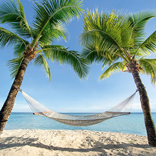 Eurographics Caribbean Hammock Glasbild, Glas, Blau, 30 x 30 x 2 cm