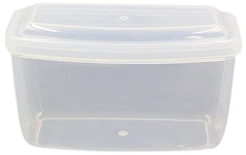 Ghulumn Aufbewahrungsbox für Tauchmasken, Tauchen, Schnorchel, Maske, Druckfest, staubdicht, 2 Stück