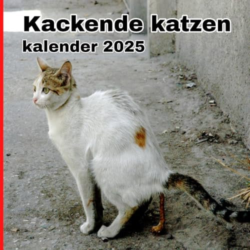 Kackende katzen kalender 2025