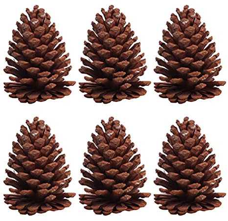 SOLUSTRE 6pcs Tannenzapfen Basteln Kiefernzapfen Tannenzapfen Naturzapfen Schwarzkiefer Weihnachtsbaum Zapfen Weihnachtsdeko Herbstdeko für DIY Handwerk Ornament Dekoration
