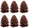 SOLUSTRE 6pcs Tannenzapfen Basteln Kiefernzapfen Tannenzapfen Naturzapfen Schwarzkiefer Weihnachtsbaum Zapfen Weihnachtsdeko Herbstdeko für DIY Handwerk Ornament Dekoration