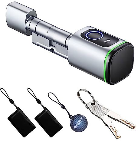 YoumiAI Tuya Bluetooth Smart Türschloss mit Euro-Zylinder,elektronischer Schlosskern,Fingerabdruck/App/IC/Schlüsselentriegelung,unterstützt Timer/App Fernbedienung über Tuya BLE Hub (silbrig, 45/45mm)