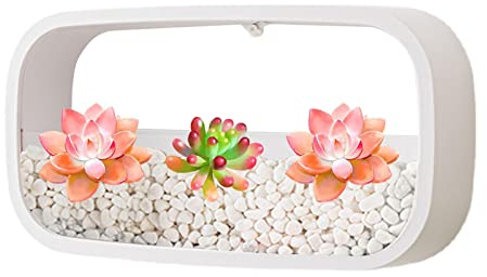 Jardinières murales - Pot de fleurs mural au design rectangulaire - Air Plants Cactus - Fleurs artificielles à suspendre - Décoration murale (sans plantes)