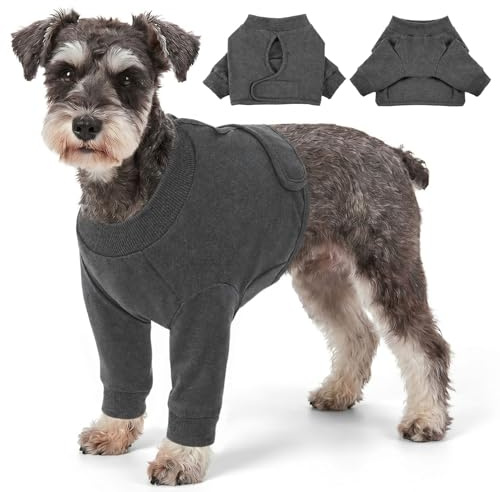 CITÉTOILE Manchon de Récupération Chirurgicale Chien Gris XS | Protection Contre Les blessures à la Jambe Avant pour Chien de Taille Moyenne et Grande pour la RéCupéRation PostopéRatoire