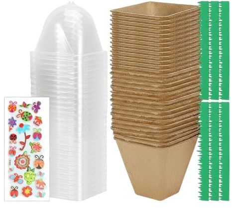 lyanny Kit de Jardinage pour, Pot de Fleurs, Jouet Menthe, Serre, pour la Croissance des, pour la Maison et Le Balcon, comme Cadeau d'anniversaire pour Les Filles et Les Filles