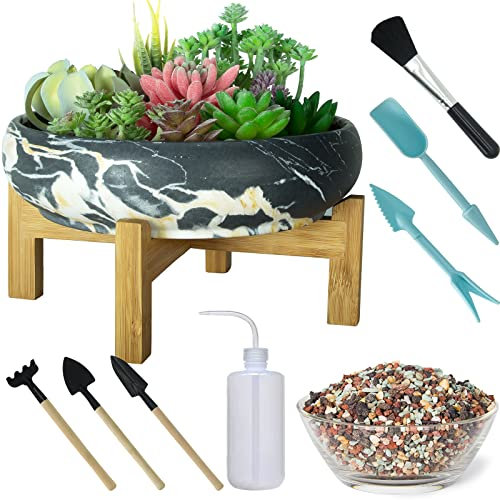Sukkulentententöpfe mit Entwässerung, 25.4 cm, Kaktus-Blumentopf, plus Sukkulenten-Pflanzwerkzeug-Set & 1 kg Mischkieselsteine