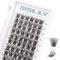 SISILILY Extension Cils - 72 Pcs Faux Cils Individuel 3D Naturel Cluster Lashes Volume Russe DIY Extensions de Cils Réutilisables 0.07mm C Curl 10-16mm Imperméable Bouquet Faux Cils (DM17-Mix)