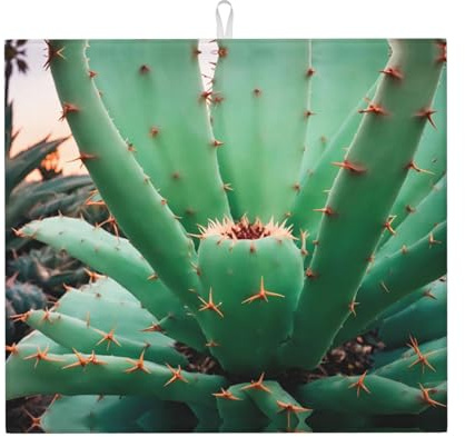 Abtropfmatte für Küche Wzywhj Agave Kaktus Bild aus Schwamm wasserabsorbierend 45,7 x 40,6 cm