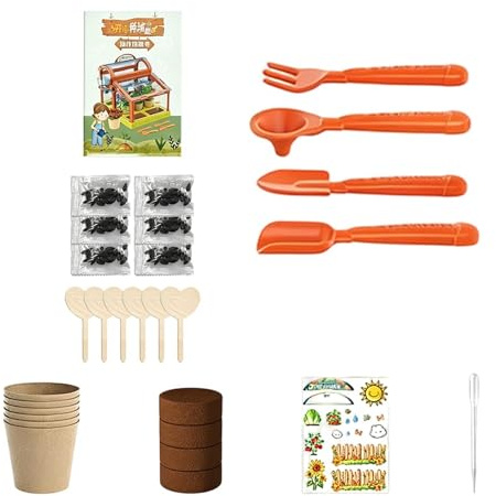 Kit Di Esperimenti Di Biologia Vegetale - Giocattolo Educativo Di Scienza Delle Piante, Kit Di Coltivazione Per Terrario In Serra, Set Di Apprendimento STEM Per Giardino Esterno Per Interni Bambini Ra