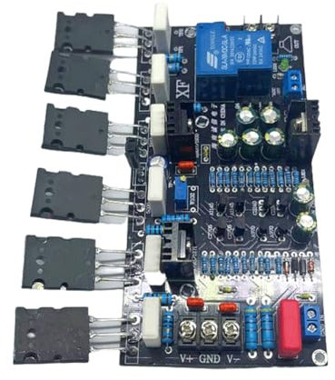 LYEAA Carte d'amplificateur de son mono HIFI Audio Power Module Protection pour haut-parleur Kit électronique DIY