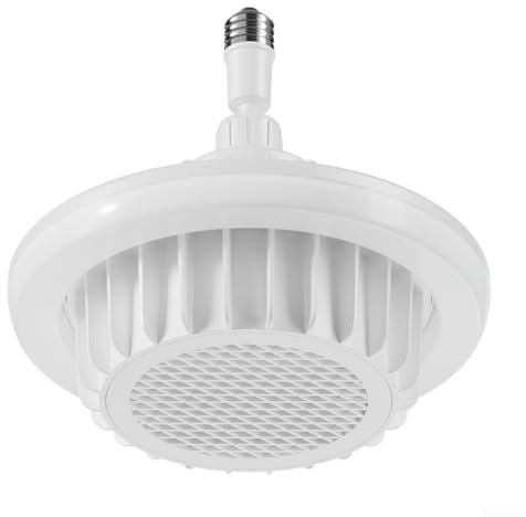 XLDZ Bathroom Ceiling Fan Heater with PTC Ceramic Lighting - Fast Heat for Indoor Shower Room, Energy-Efficient Combo(White(220v))