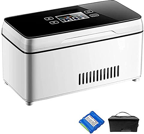 ALSUP Nevera Portátil para Medicamentos y Enfriador de Insulina - Viaje, Casa, Maleta Portátil para Enfriar el Coche/Pequeña Caja de Viaje para Medicamentos,2batteries