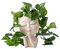CANDeal Vaso per Piante, Vaso da Fiori per Il Viso, Vaso da Fiori a Forma di Testa Umana, Grazioso Vaso per Piante grasse,con Foro di drenaggio, per casa, Ufficio, Giardino, Decorazione