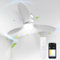 BLITZWILL Deckenventilator mit Beleuchtung, Ø132cm App Steuerung & Fernbedienung Deckenventilatoren mit Licht LED, 6 Geschwindigkeiten, 3 Farben Dimmbar, Leise DC-Motor, Sommer-Winterbetrieb, Timer
