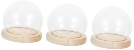 STOBAZA 3stücke Glasglocke Mit Holzsockel Klare Glasvitrine Für Kreative Bastelprojekte Und Mikrolandschaften Zum Ausstellen Von Pflanzen Und Figuren Staubdicht Und Elegant