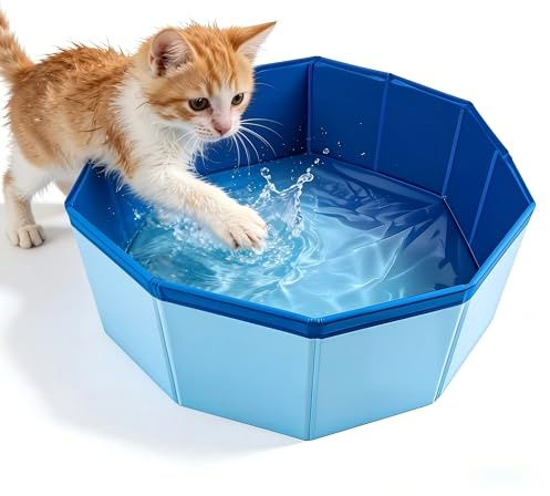 Lysjoy Piscina Gatos, 30 × 10 cm Piscina para Gatos Pequeños, Piscinas Plegable para Gato, Piscin para Mascotas, Piscinas para Perros y Gato Jueguen, se Bañen y se Relajen (Azul)