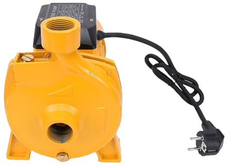 Generic Pompe à Eau Centrifuge Puissante, Idéale pour L', Alimentation en Eau de Chaudière, Tête de 30 M, 200 L/min, 750 W, Sortie 1 Po (Prise UE 220V)