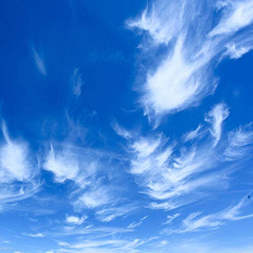 Benutzerdefinierte Decke Wandtuch Moderne Blauer Himmel Und Weiße Wolke Wandbild Tapete Wohnzimmer Thema Hotel Deckenverkleidung 3D Wohnkultur-150 * 105cm