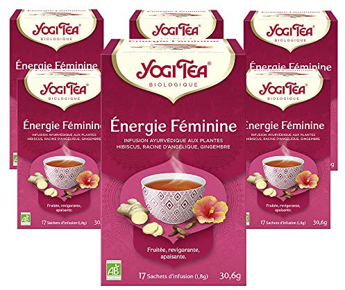 Yogi Tea - Frauenpower, Ayurvedischer Bio Gewürz- und Kräutertee, von Natur aus koffeinfrei, Angelikawurzel, Ingwer, Hibiskus, Yogi Tee 6er Pack, 6x17 Beutel (102 Teebeutel insgesamt)