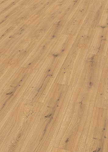 Egger Laminatboden Aqua Clic It EL1005 Predaia Eiche Honig (8mm, 1,995m²) | authentische Holzoptik | | Einfache Verlegung durch Klicksystem | Praktisch & wertbeständig, Braun