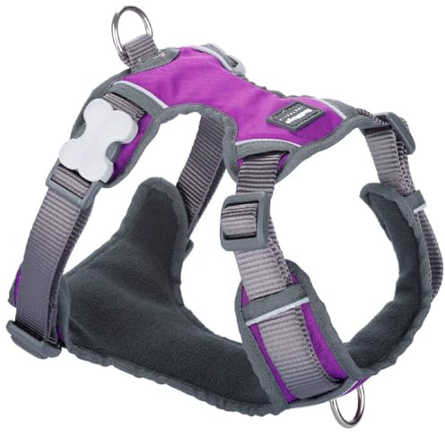 Red Dingo Dingo Hundegeschirr, 25-36 cm, 31-43 cm, Violett, Größe XS