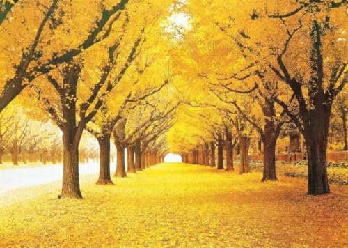 1000 Pièces Art Teinté Automne Forêt Jaune Doré Ginkgo Arbres Feuilles Tombées Automne Paysage À Feuilles Caduques Jeux Puzzle en Bois pour Cadeaux