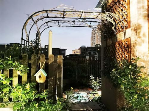 MISKYN Arche De Jardin Demi Rond, Demi-Arche en Métal, Arceau Jardin Arche A Rosiers De Style Fer Forgé, Tonnelle De Jardin Robuste, pour Plantes Grimpante,Noir,60 * 240cm