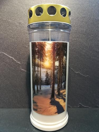JEKA Gedenkkerze, Grabkerze Motiv: Winterwald, Brenndauer 7 Tage, 210x75mm, Wind- & Wetterfest, 100% Pflanzenöl, Golddeckel, Grablicht (3)