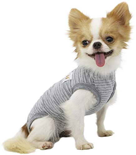 LOPHIPETS Hunde-Shirts für Mädchen, für kleine Hunde, Zwergspitz, Malteser-Spielzeug, Pudelgrau, Streifen/M