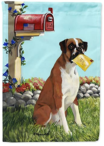 Caroline's Treasures PPP3039CHF Boxer Got Mail Flagge, Segeltuch, Größe L, Mehrfarbig