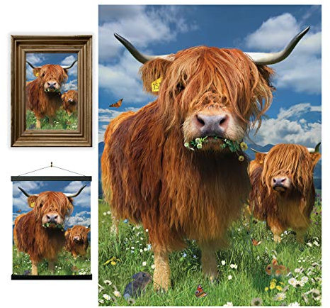3D LiveLife Linsenförmige Wandkunst Drucke - Hochlandrinder von Deluxebase. Ungerahmtes 3D Kuh Poster. Perfekter Wandfüller. Original kunstwerk lizenziert von bekannt künstler, David Penfound