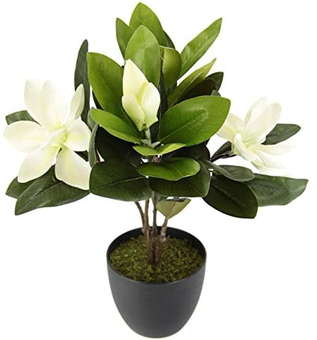 Magnolienbusch im Topf künstlich Blumen Deko Frühling Seidenblumen Raumdeko Magnolie Magnolienbaum Kunstpflanze Kunstblumen Kunstbaum Blume Zimmerpflanze Blüten Frühjahrsdeko Frühjahrsblüher Pflanze