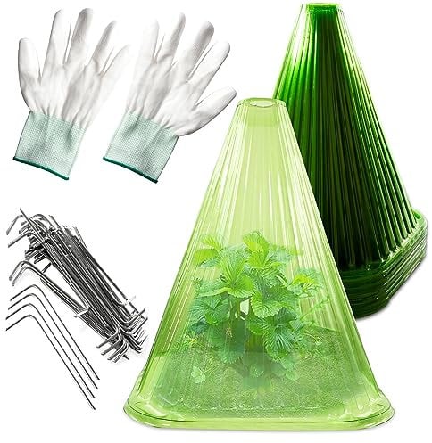 Momodoja Garden Plant Cloches - 30-Pack, 22cm x 19cm Reusable Mini Greenhouse Bell Domes for Frost, Sun, and Pest Protection. Durable Transparent Plastic Plant Covers for Outdoor Garden Use.