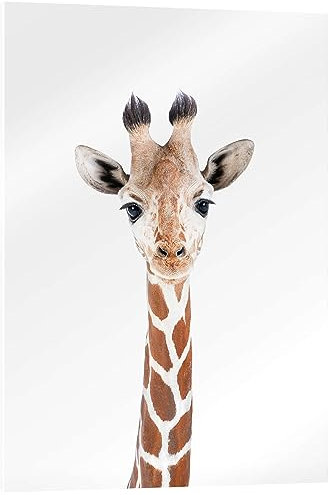 Posterlounge Babygiraffe Acrylglasbild