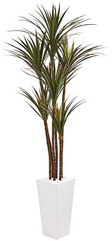 Nearly Natural 6.5’ Giant Yucca Artificial White Planter UV Resistant Silk Trees, Green