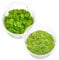 Teichpflanzen Set: Schwimmpflanzen für deinen Gartenteich | Südamerikanischer Froschbiss & Kleinohriger Schwimmfarn (M - 2x in Vitro 5,5cm) Grün