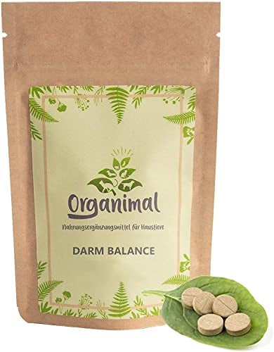 Organimal - Intestino in equilibrio - Gatti - Contiene probiotici - In caso di diarrea - 90 compresse a 250mg