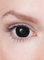 Maskworld Mini-Sclera schwarz Kontaktlinsen - farbige Kontaktlinsen / 6-Monats-Linsen (17mm) - Motivlinsen ohne Sehstärke - Unisex - Erwachsene - ideal für Halloween, Karneval, Motto- und Horror-Party