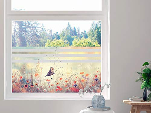 GRAZDesign Sichtschutzfolie Blumen, Fensterfolie für Küche, Wohnzimmer, Blickdichte Folie / 110x57cm