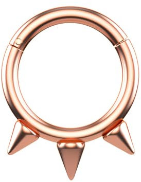 Decentraland 1 Stück 16G Roségold Durchmesser 6mm Spike Nase Septum Mund Hoop Ohrring Knorpel Chirurgenstahl Gothic Ring Piercing Schmuck