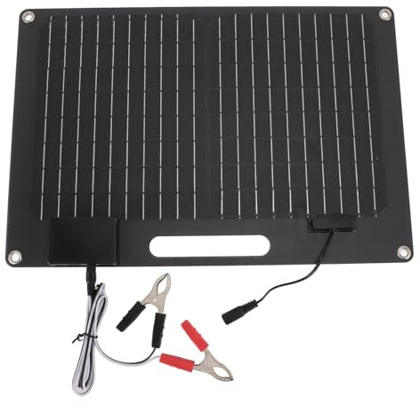 Chargeur de Panneau Solaire 100 W, 2 Sorties USB 12 V 24 V, Chargeur de Batterie Solaire de Voiture avec Pince Crocodile, Chargeur Solaire étanche pour Bateau, Camping-car, Moto,