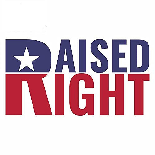 13 cm x 7,1 cm per adesivi per auto repubblicani rialzati a destra