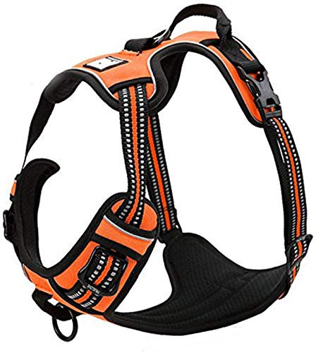 TrueLove Dog Harness TLH5651 No-pull Reflective Stitching Ensure Night Visibility, Outdoor Adventure Big Dog Harness Perfect Match Puppy Vest (Orange,XS)
