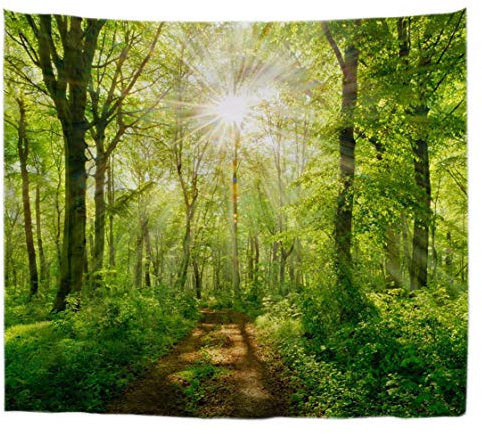 A.Monamour Wanddekor Wandteppiche Sonnenstrahlen Durch Buchen Bäume Wald Fußweg Straße Natur Landschaft Bild Stoff Wandbehang Tapisserie Wandkunst Dekore Tischdecke Bettdecke 180x200cm